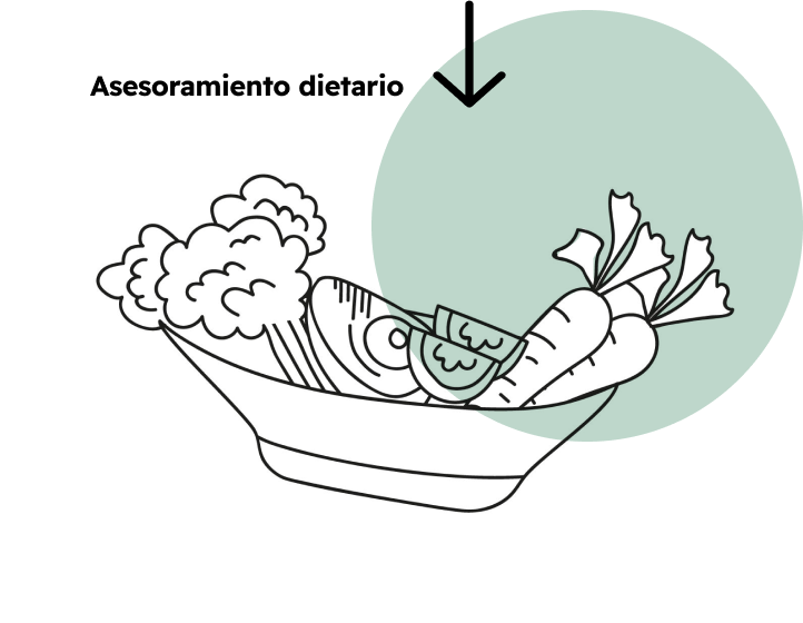 Asesoramiento dietario